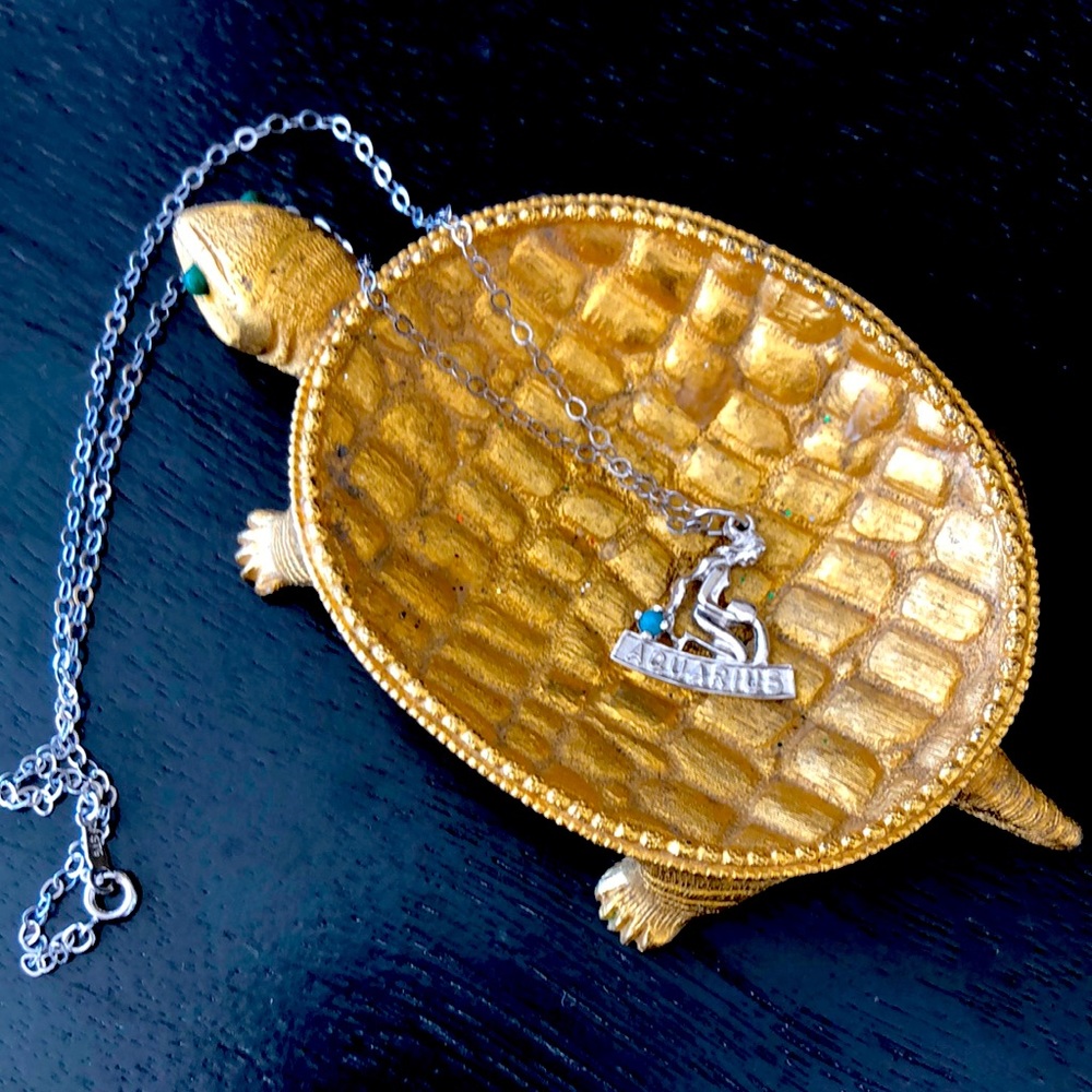 Aquarius Pendant